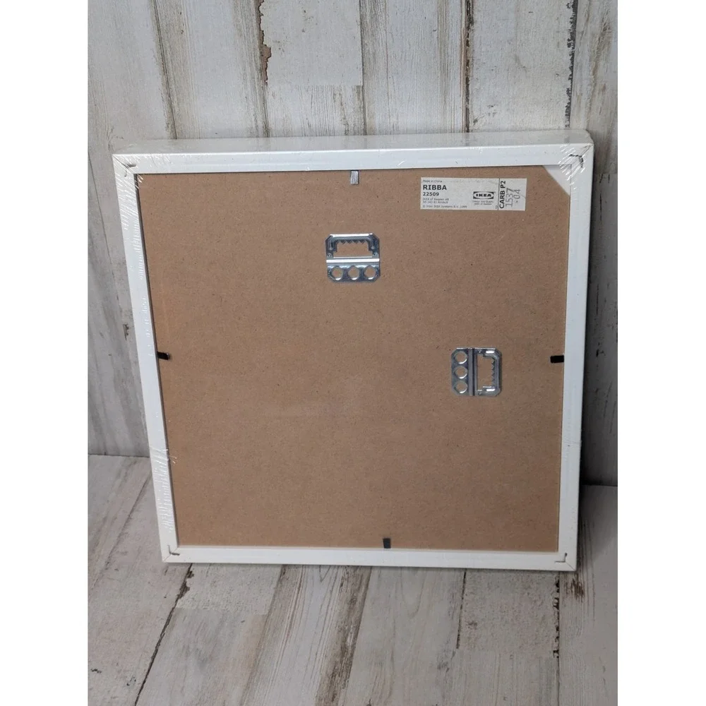 IKEA RIBBA Deep Picture Frame 9x9